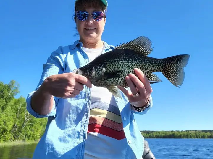 Northern Minnesota guided fishing trip photo for the Sand Lake fishing report