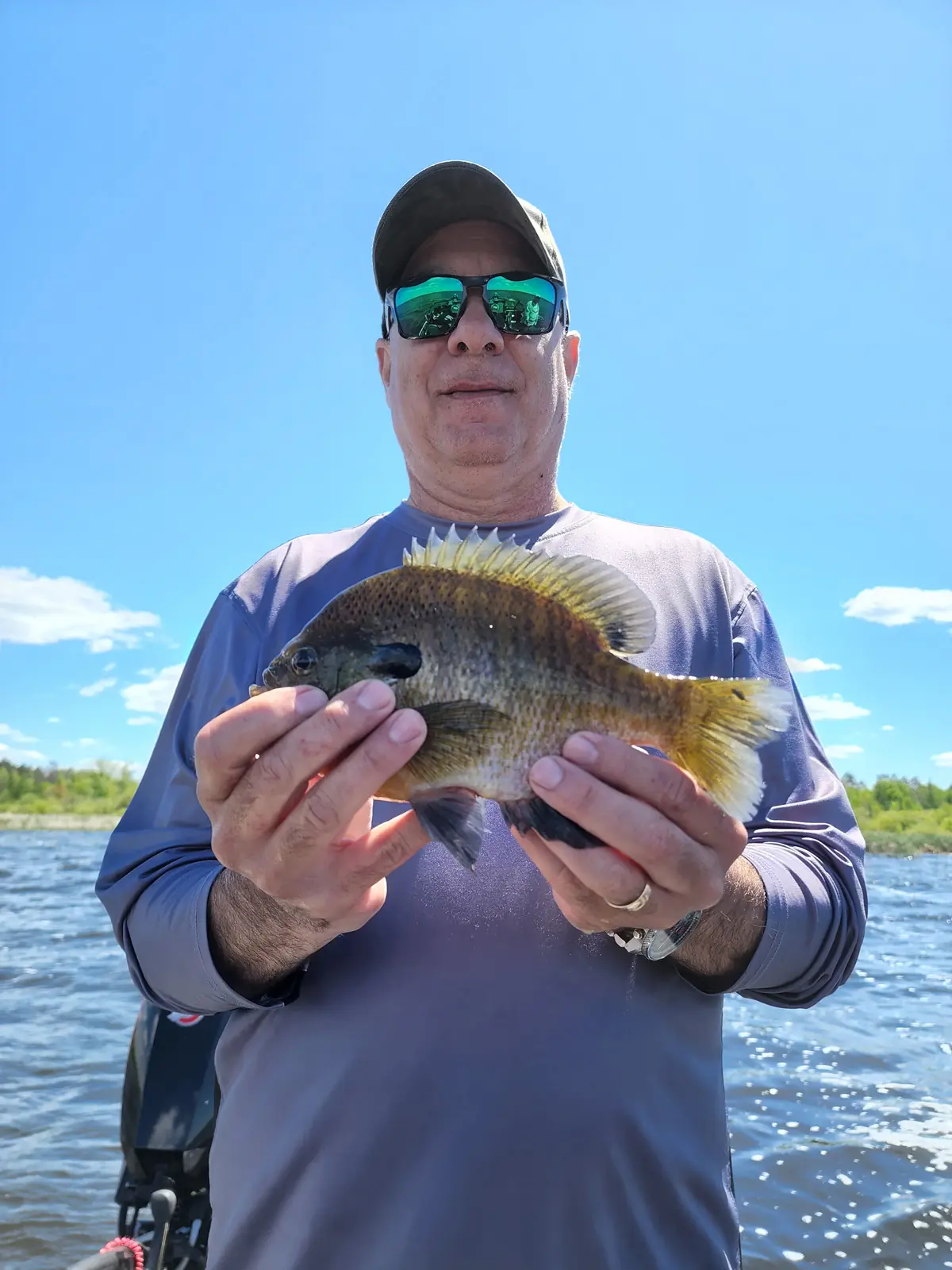 Bluegill caught while fishing Sand Lake near Squaw Lake